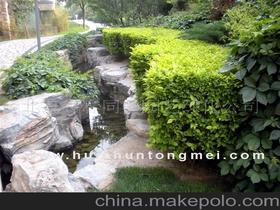 北京园林绿化工程价格 北京园林绿化工程批发 北京园林绿化工程厂家